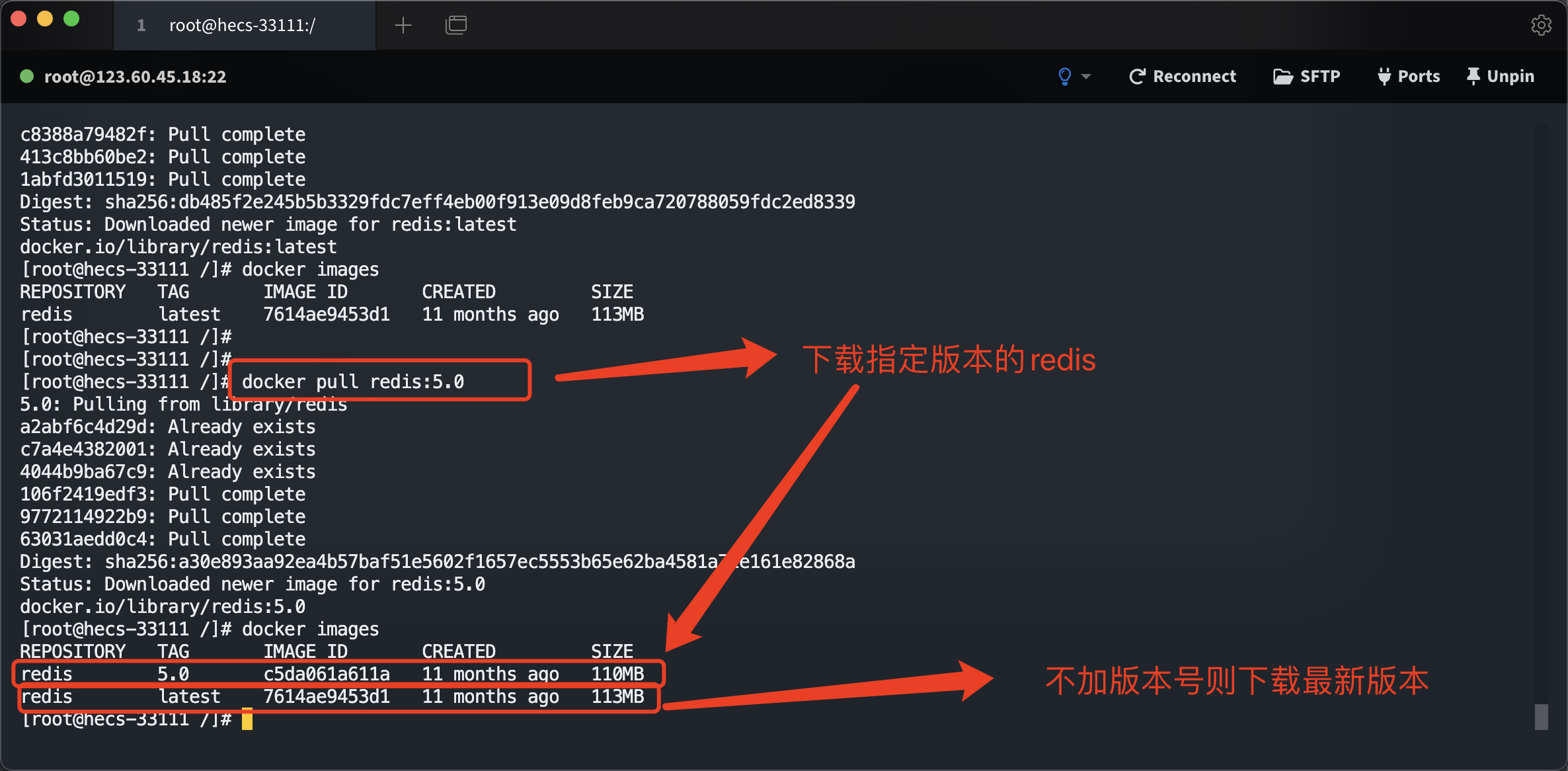 image-20221118212120394