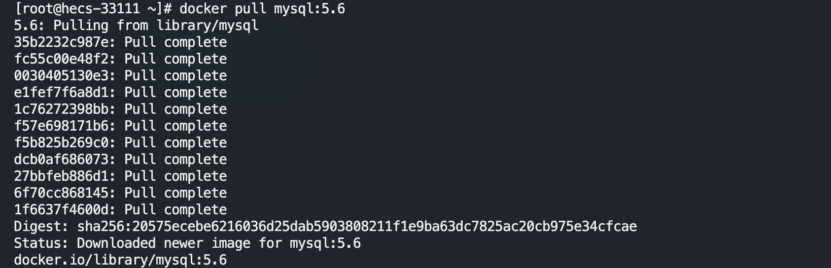 image-20221119204625163