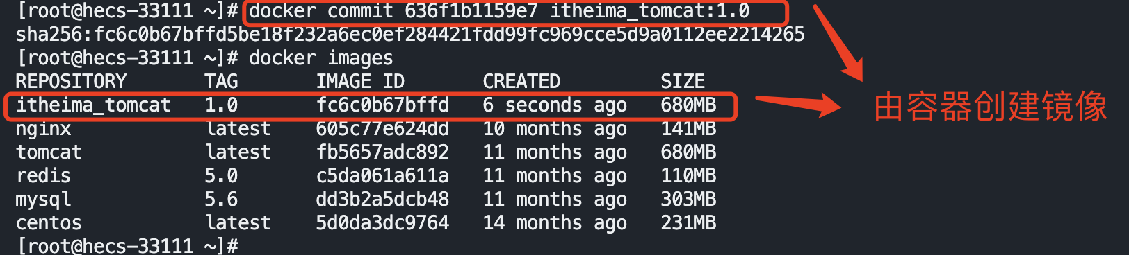 image-20221120133726220