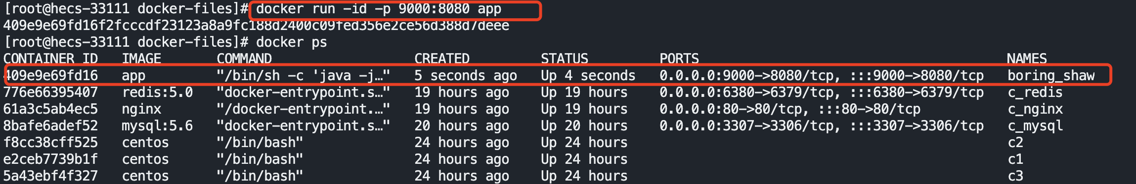 image-20221120170509684