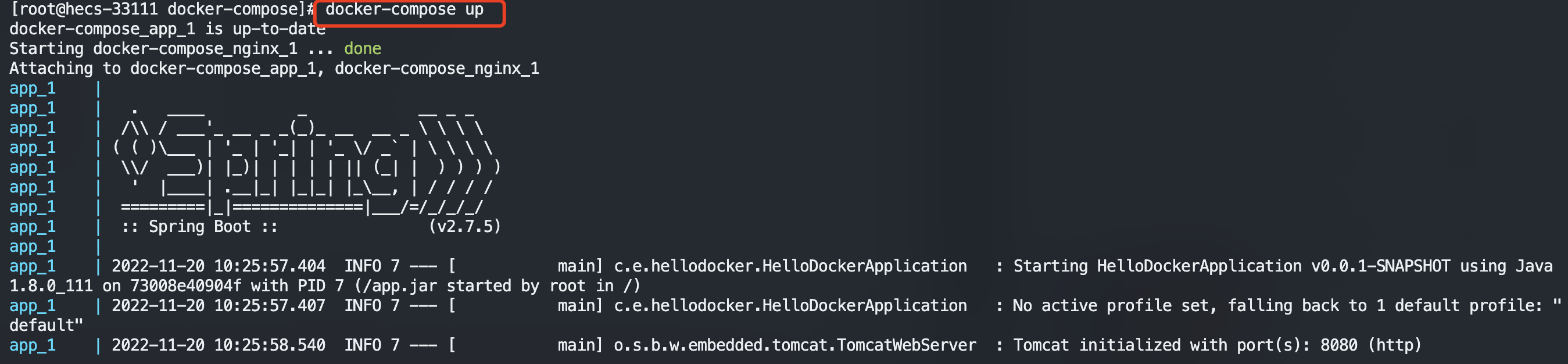 image-20221120182758615