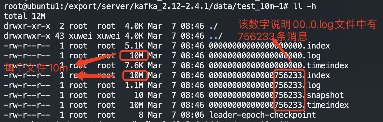 image-20230307164926265