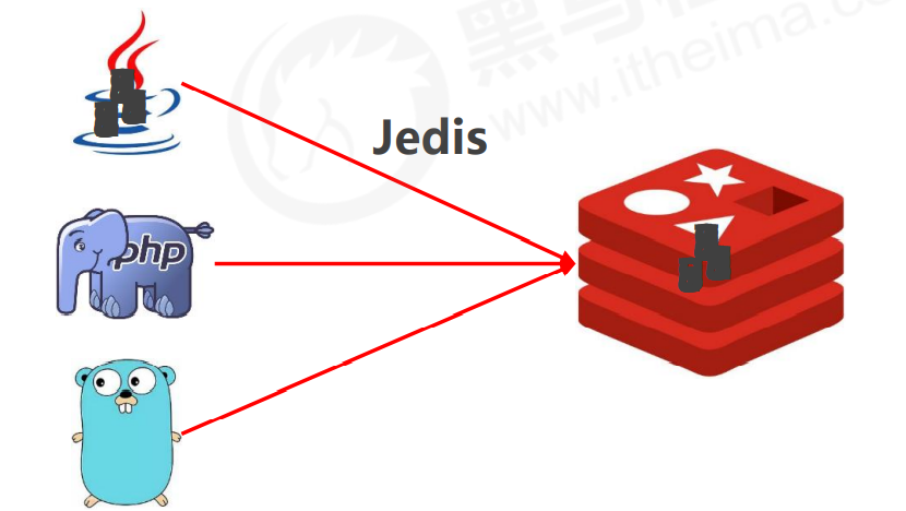 image-20221009210540279