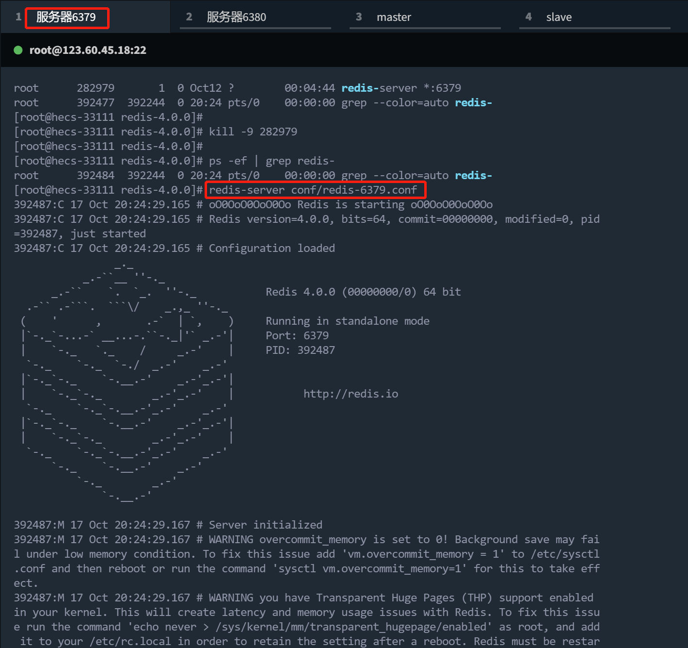 image-20221017202520833
