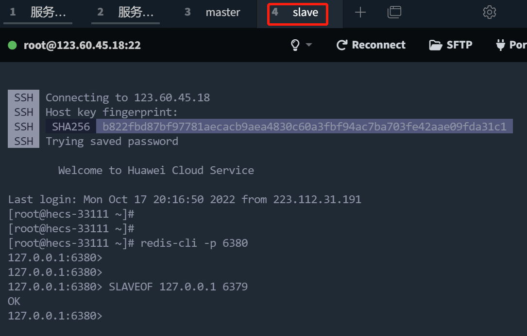 image-20221017203447084