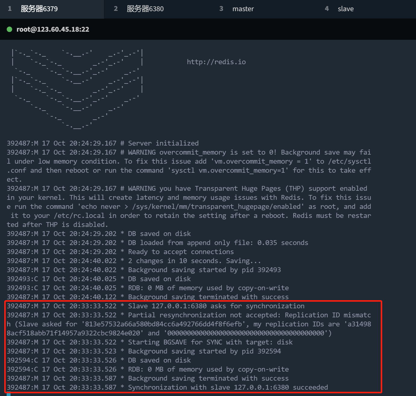 image-20221017203710563