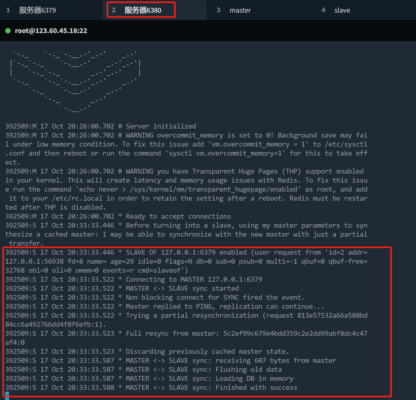 image-20221017203741205
