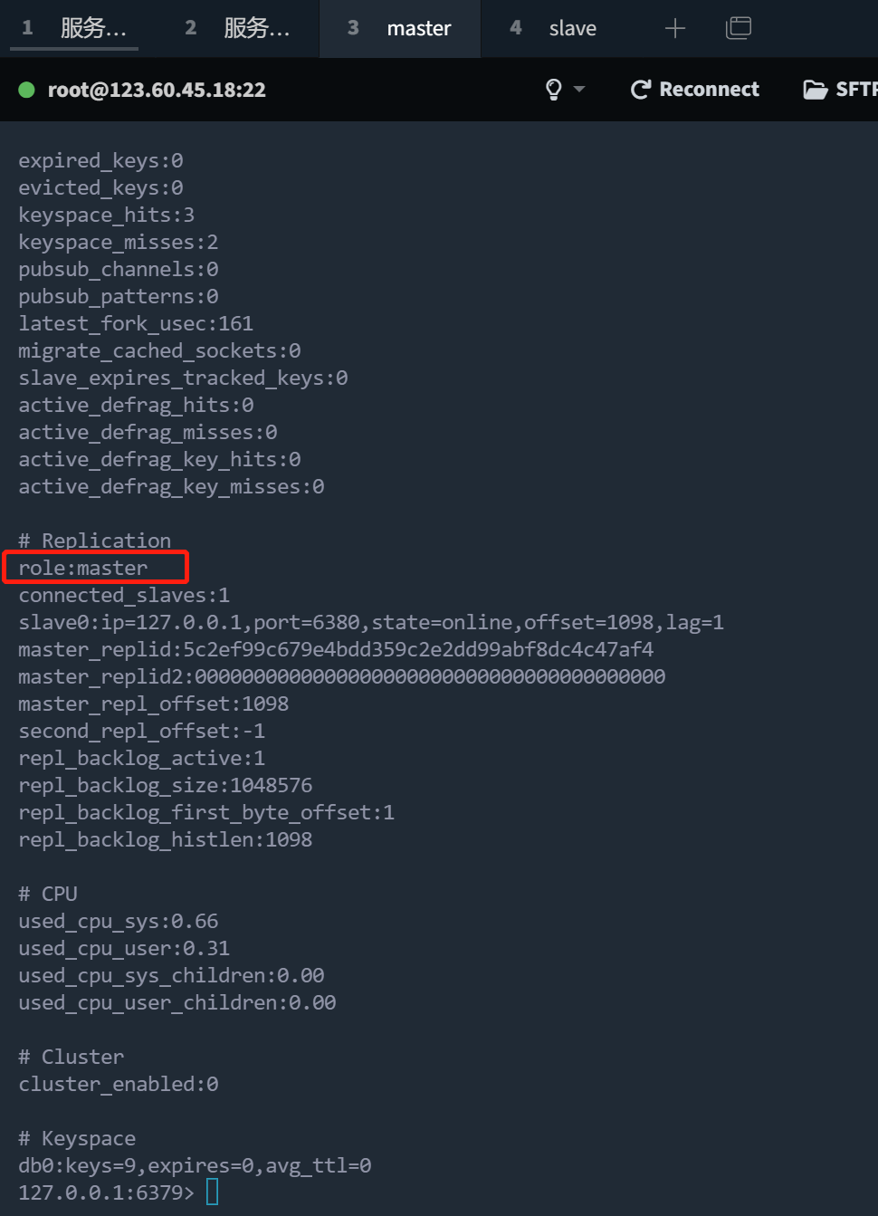 image-20221017204901267