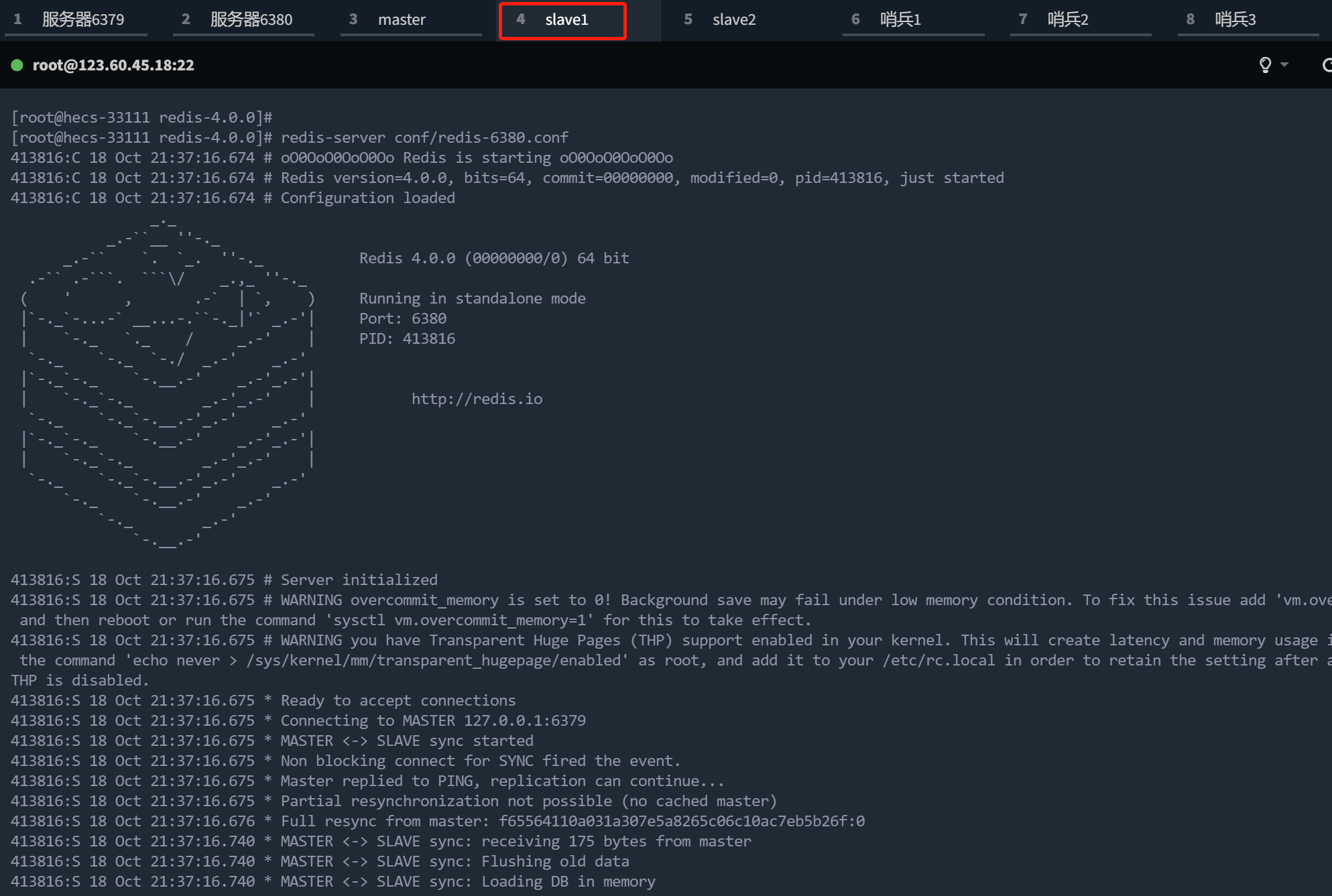 image-20221018213813008