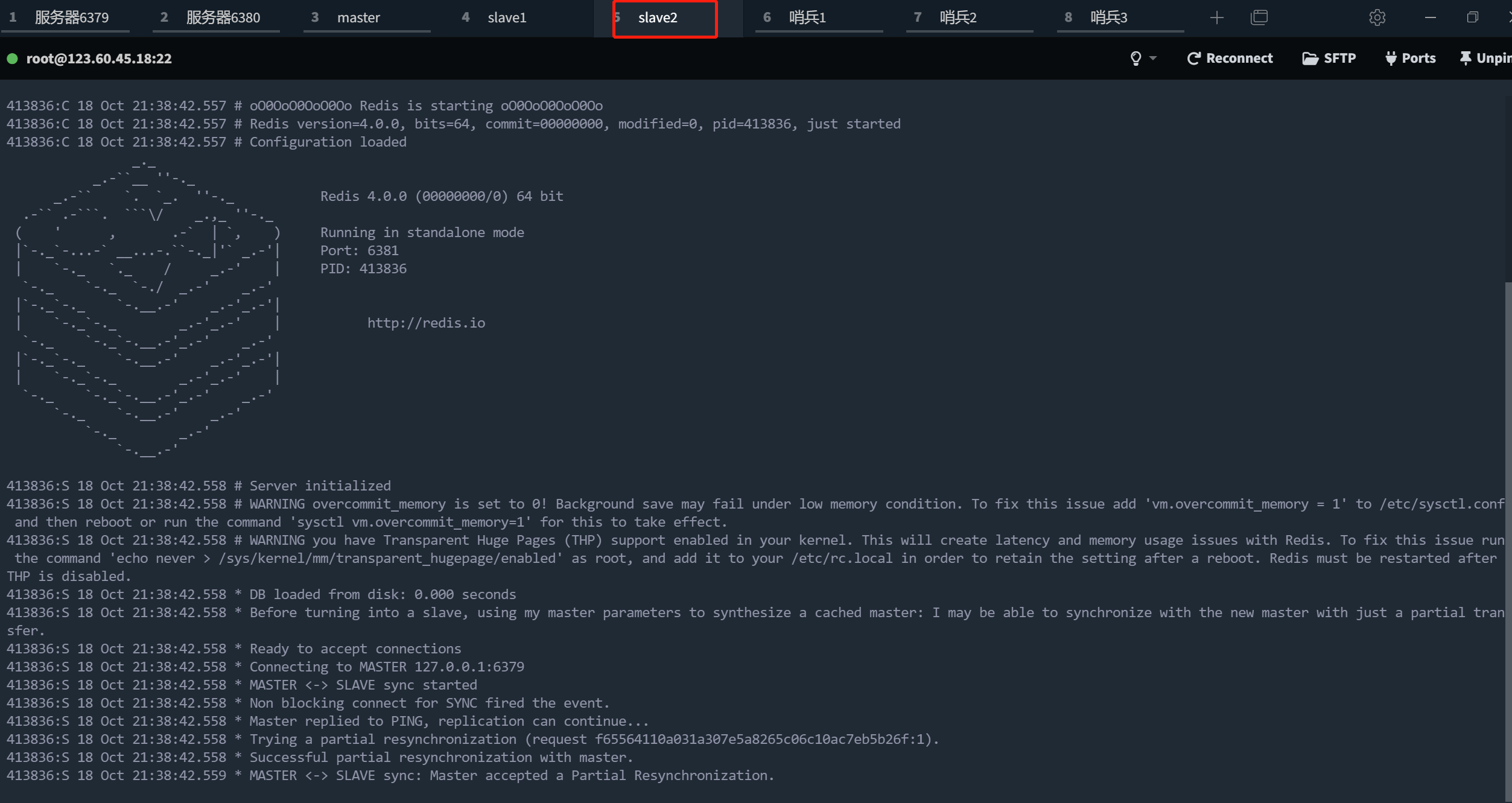 image-20221018213903729