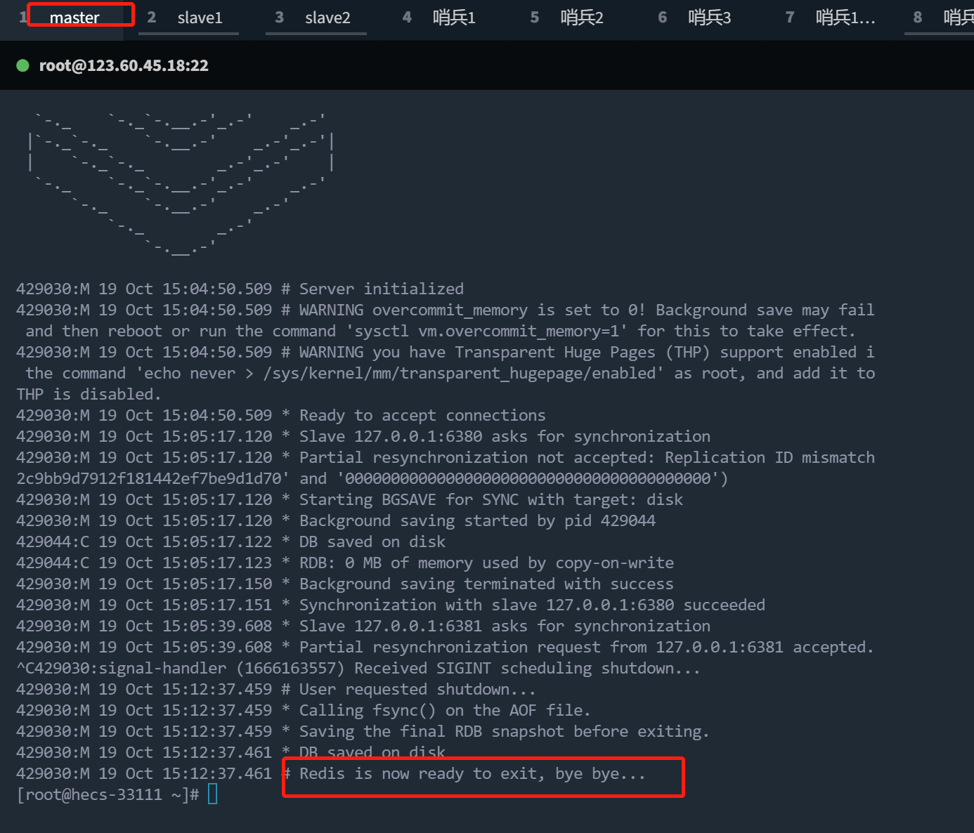 image-20221019151305171