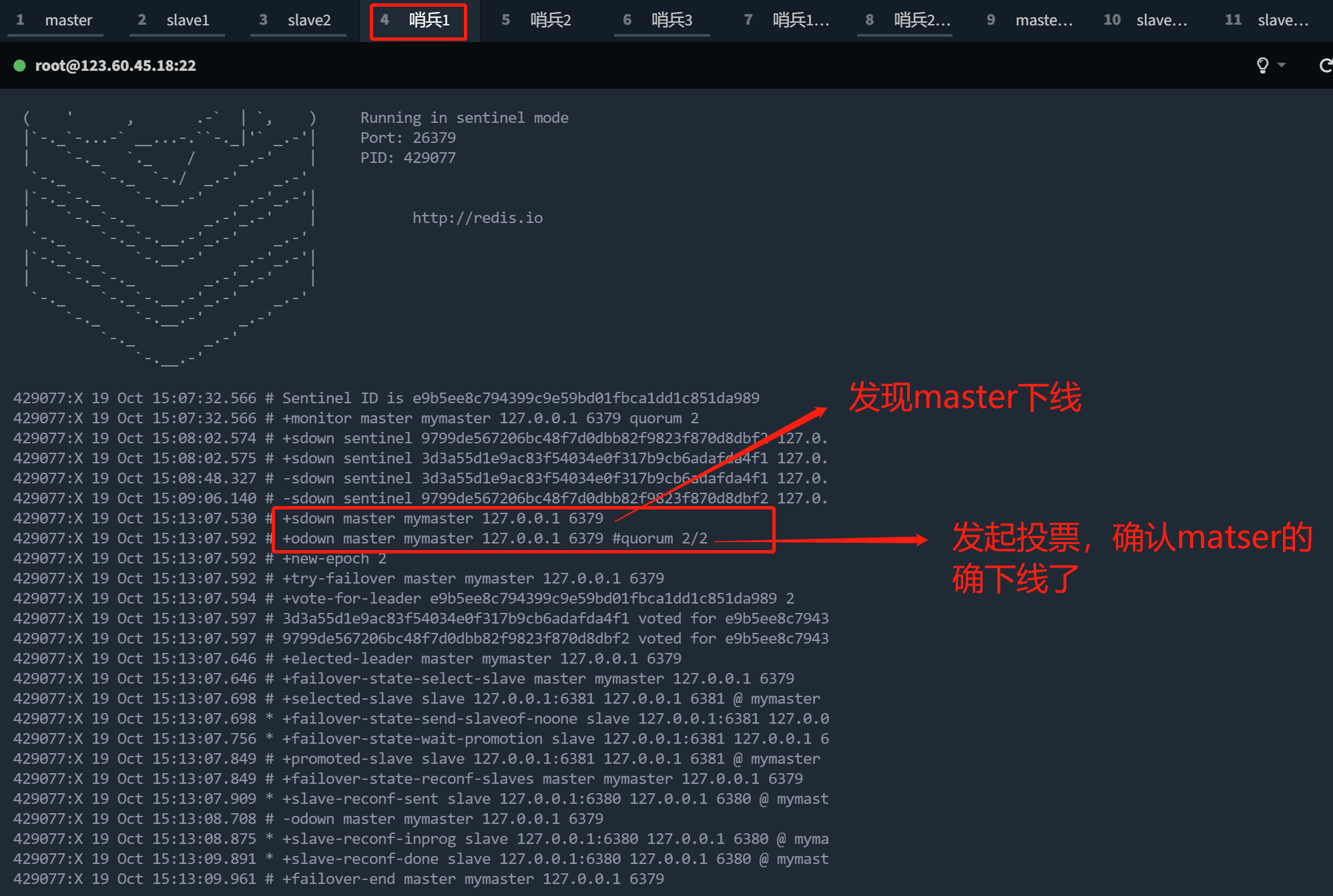 image-20221019151729961