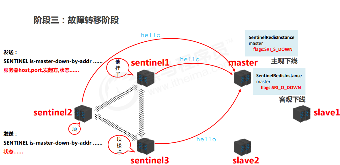 image-20221019203036948