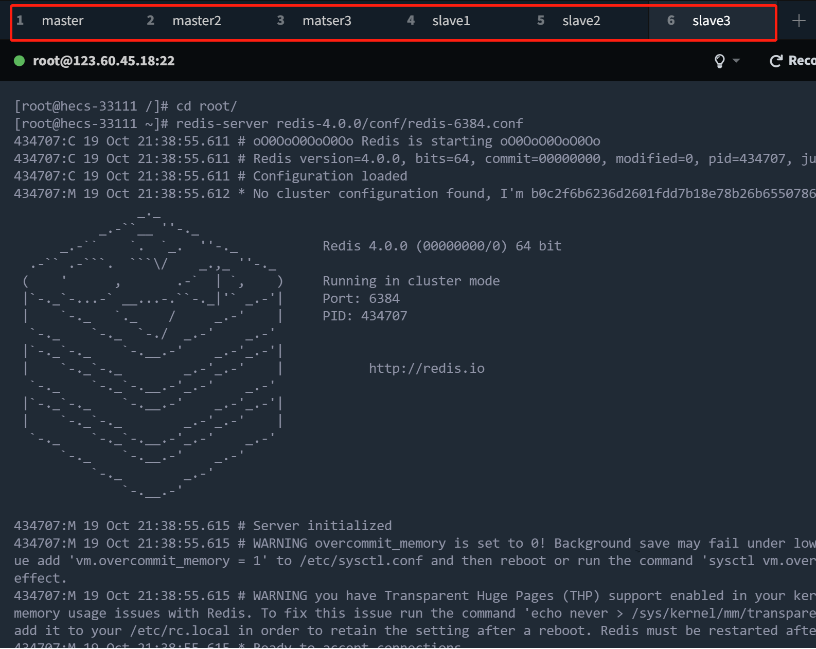 image-20221019213943319