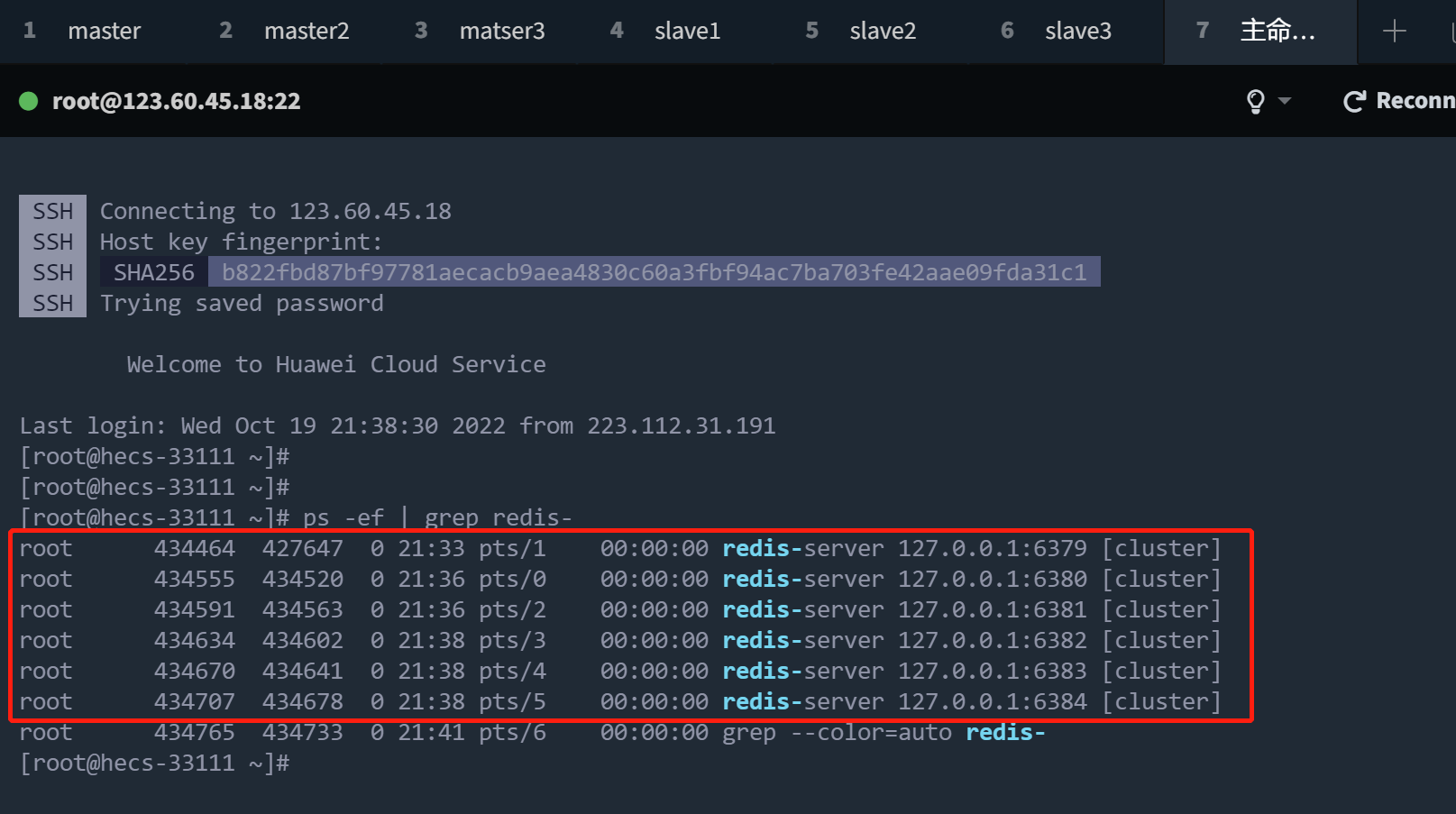 image-20221019214204996