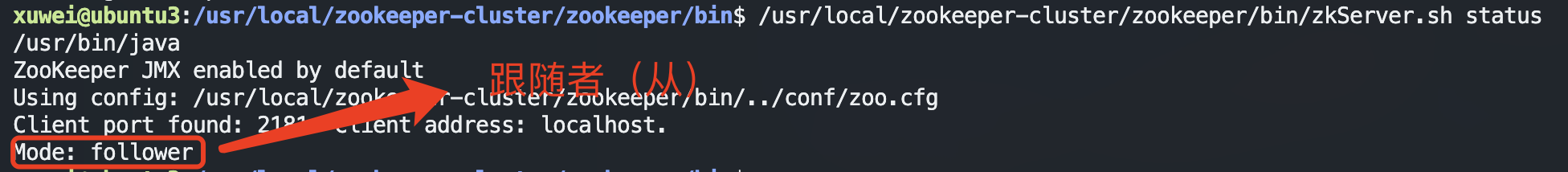 image-20230227103640371